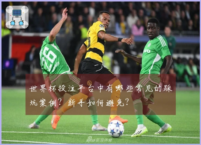 世界杯投注平台中有哪些常见的踩坑案例？新手如何避免？