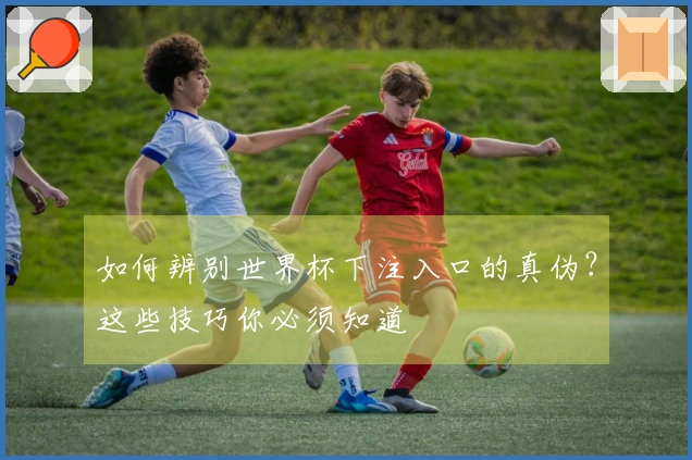 如何辨别世界杯下注入口的真伪？这些技巧你必须知道