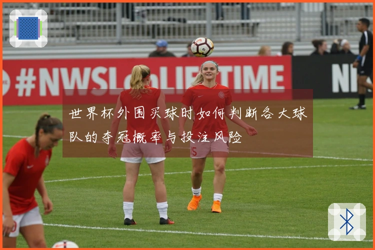 世界杯外围买球时如何判断各大球队的夺冠概率与投注风险