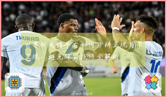 世界杯竞猜平台如何分辨正规与不正规，避免踩雷技巧全解析
