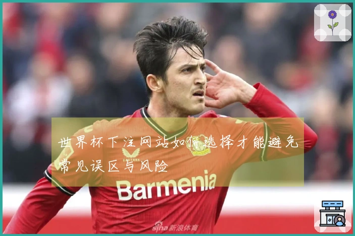 世界杯下注网站如何选择才能避免常见误区与风险