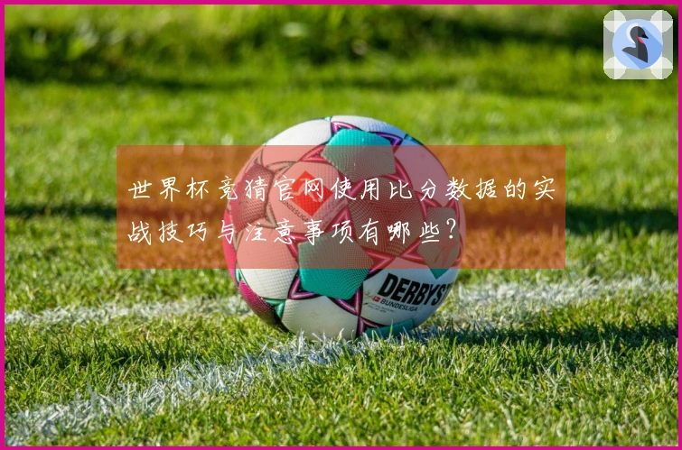 世界杯竞猜官网使用比分数据的实战技巧与注意事项有哪些？