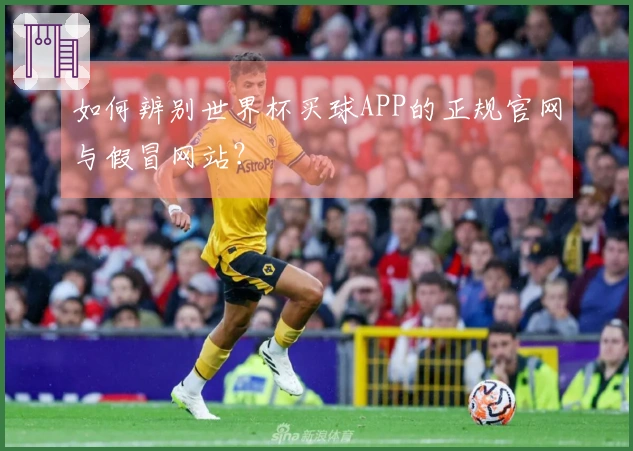 如何辨别世界杯买球APP的正规官网与假冒网站？