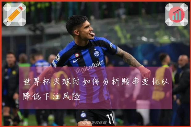 世界杯买球时如何分析赔率变化以降低下注风险
