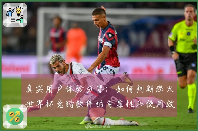 真实用户体验分享：如何判断烽火世界杯竞猜软件的可靠性和使用效果