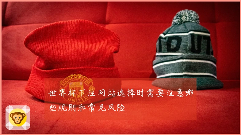 世界杯下注网站选择时需要注意哪些规则和常见风险
