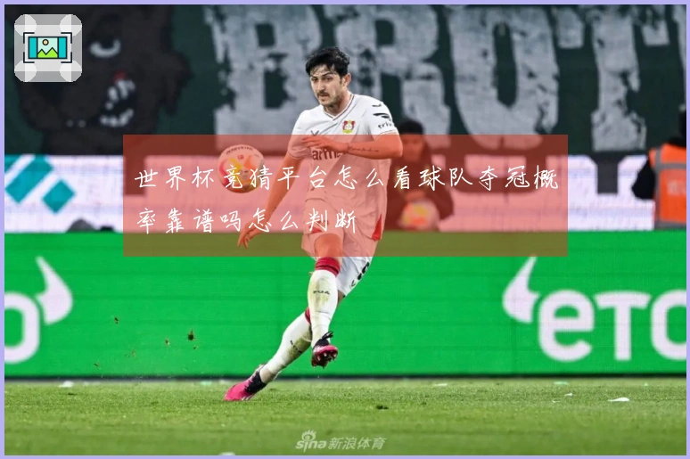 世界杯竞猜平台怎么看球队夺冠概率靠谱吗怎么判断