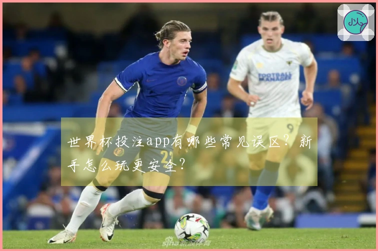 世界杯投注app有哪些常见误区？新手怎么玩更安全？
