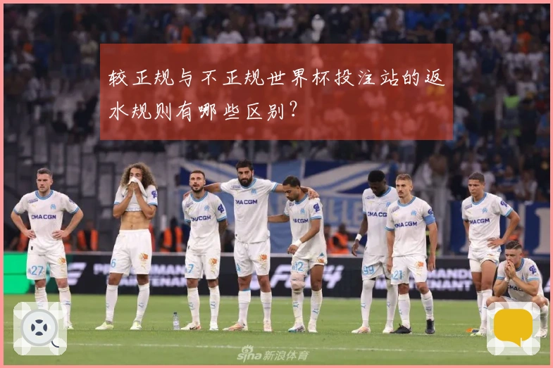 较正规与不正规世界杯投注站的返水规则有哪些区别？