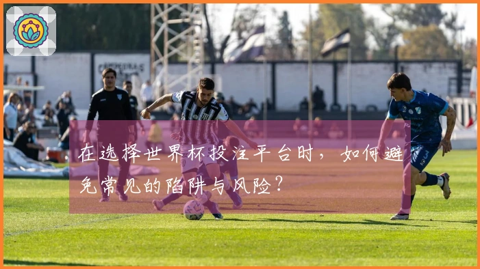 在选择世界杯投注平台时，如何避免常见的陷阱与风险？