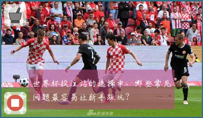 世界杯投注站的选择中，哪些常见问题最容易让新手踩坑？