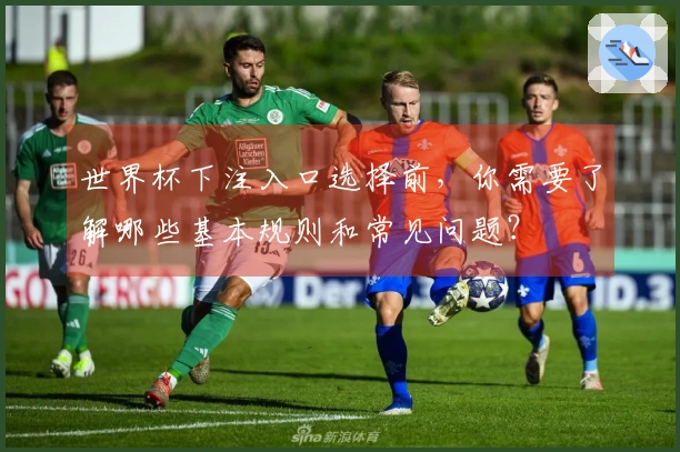 世界杯下注入口选择前，你需要了解哪些基本规则和常见问题？