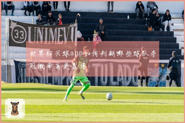 世界杯买球app如何判断哪些球队夺冠概率高更靠谱