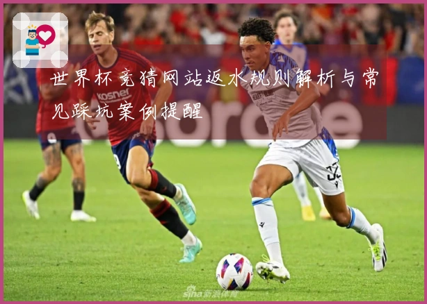 世界杯竞猜网站返水规则解析与常见踩坑案例提醒