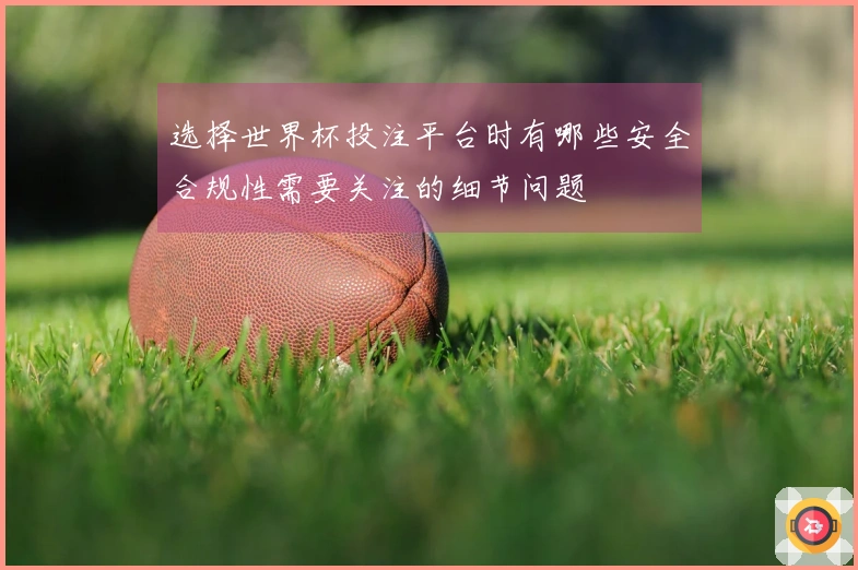 选择世界杯投注平台时有哪些安全合规性需要关注的细节问题