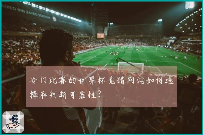冷门比赛的世界杯竞猜网站如何选择和判断可靠性？