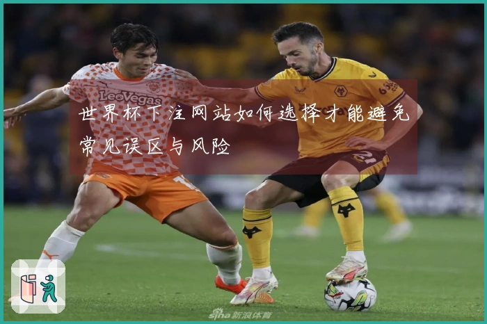 世界杯下注网站如何选择才能避免常见误区与风险
