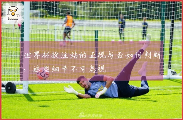 世界杯投注站的正规与否如何判断，这些细节不可忽视