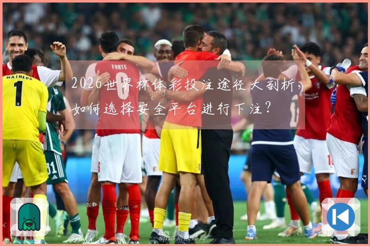 2026世界杯体彩投注途径大剖析，如何选择安全平台进行下注？