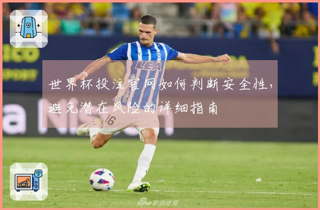世界杯投注官网如何判断安全性，避免潜在风险的详细指南