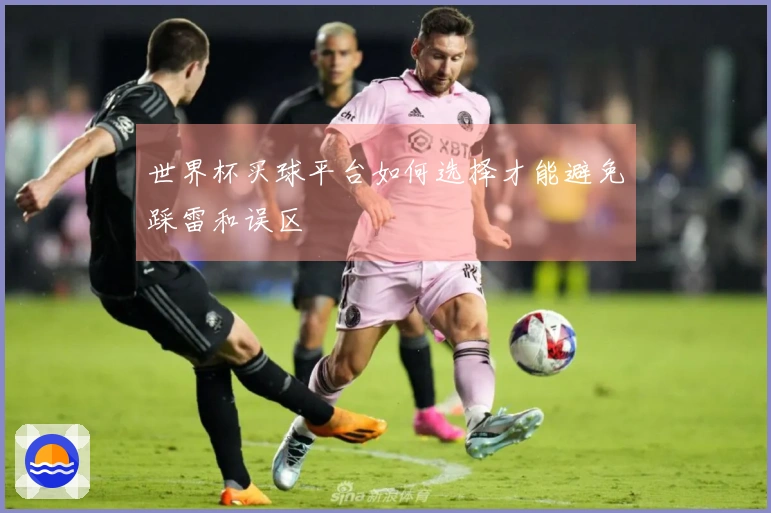 世界杯买球平台如何选择才能避免踩雷和误区