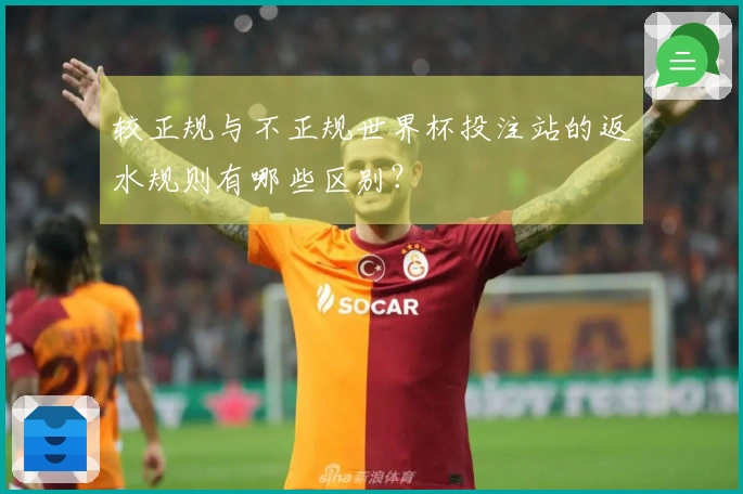 较正规与不正规世界杯投注站的返水规则有哪些区别？
