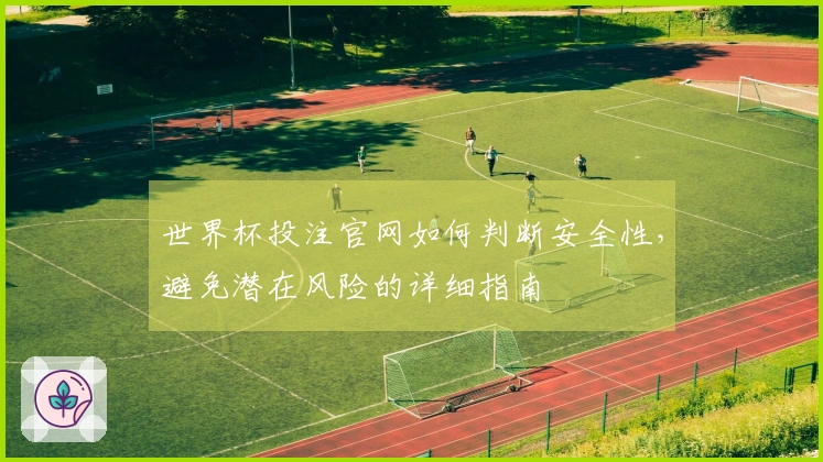 世界杯投注官网如何判断安全性，避免潜在风险的详细指南