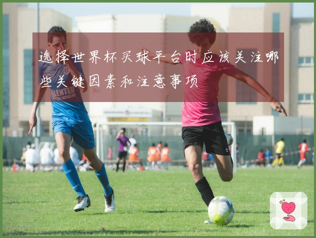 选择世界杯买球平台时应该关注哪些关键因素和注意事项