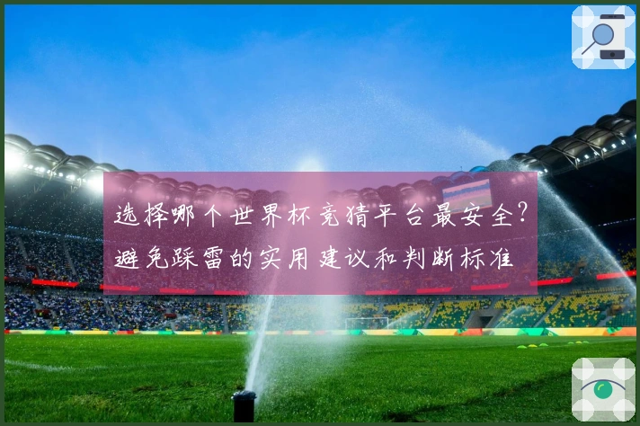 选择哪个世界杯竞猜平台最安全？避免踩雷的实用建议和判断标准
