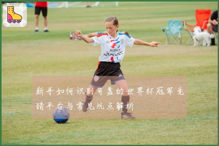 新手如何识别可靠的世界杯冠军竞猜平台与常见坑点解析