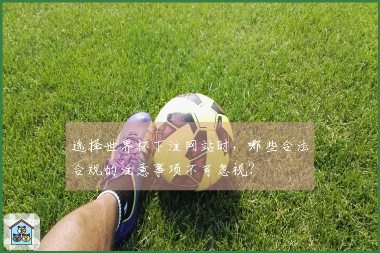 选择世界杯下注网站时，哪些合法合规的注意事项不可忽视？