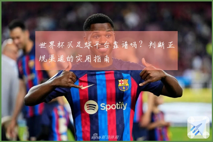 世界杯买足球平台靠谱吗？判断正规渠道的实用指南