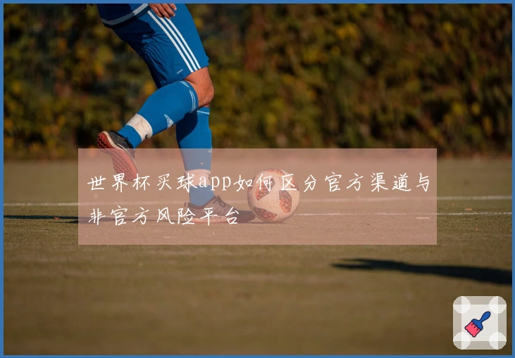 世界杯买球app如何区分官方渠道与非官方风险平台